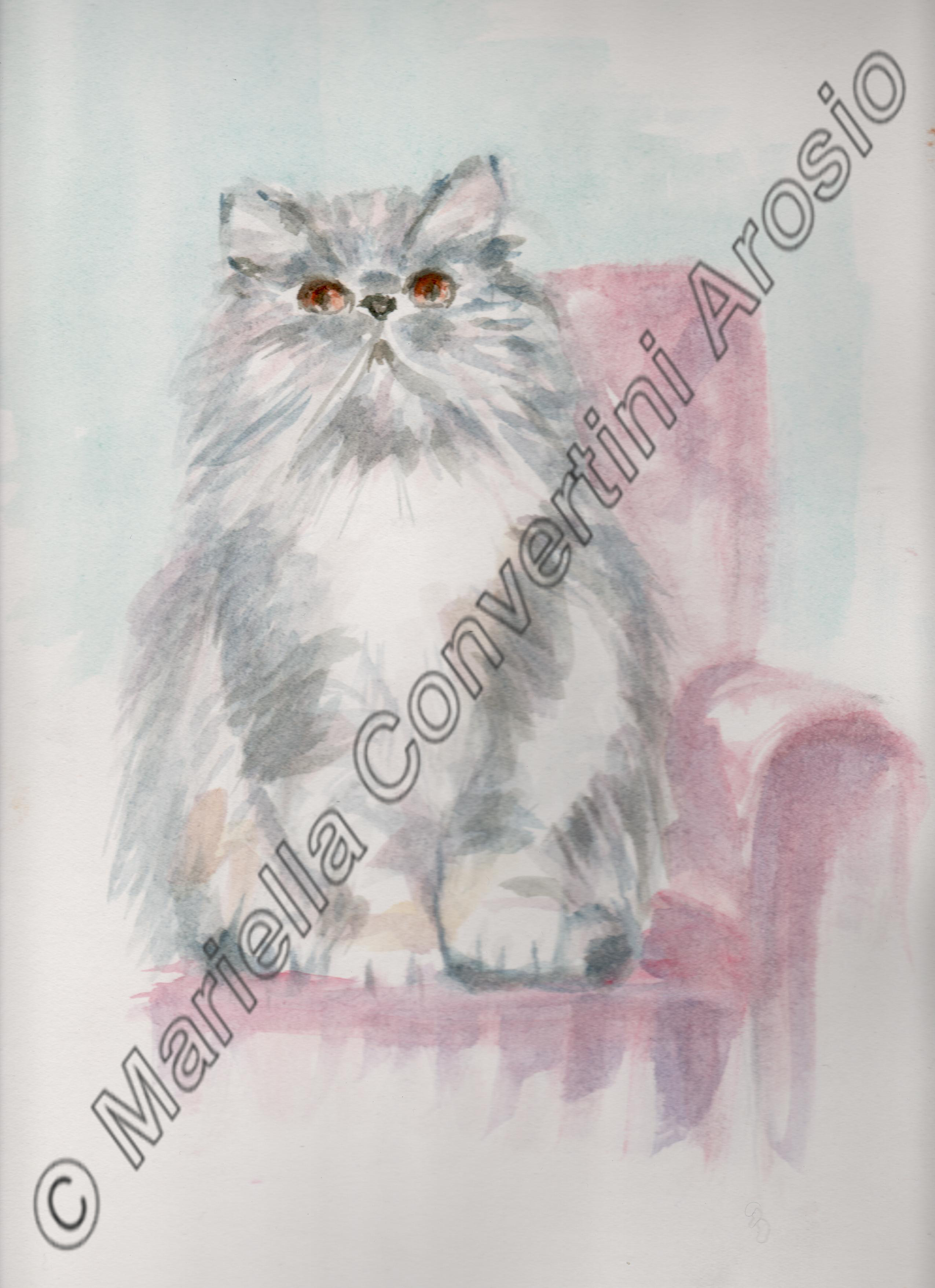 Gatto, 35 x 25 cm, acquerello